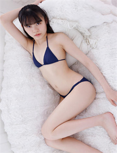 紫苑草